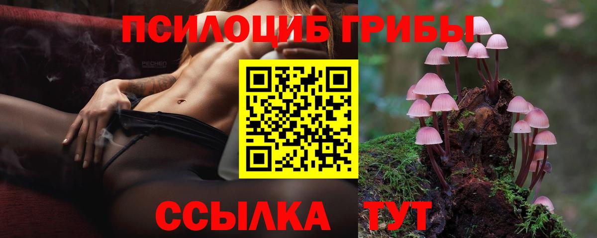 Галлюциногенные грибы Magic Shrooms Балашиха
