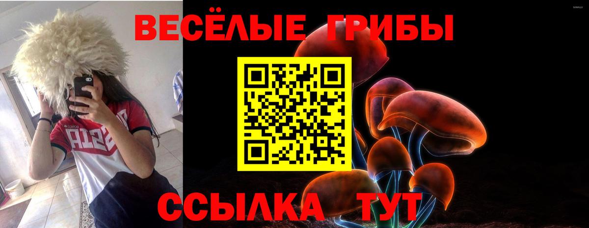 Балашиха  Псилоцибиновые грибы Magic Shrooms  Вход с VPN 